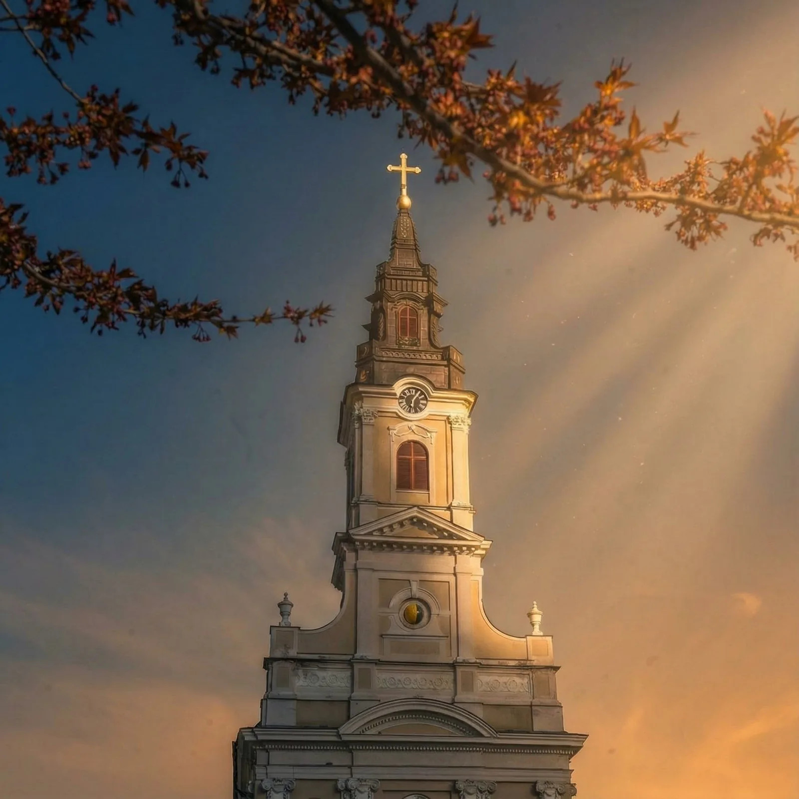 The Moon Church tower lit by golden sun rays between blossoming branches